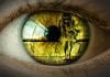 Domestic Violence Restraining Orders in California domestic violence restraining order
