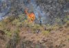 Malibu brush fire