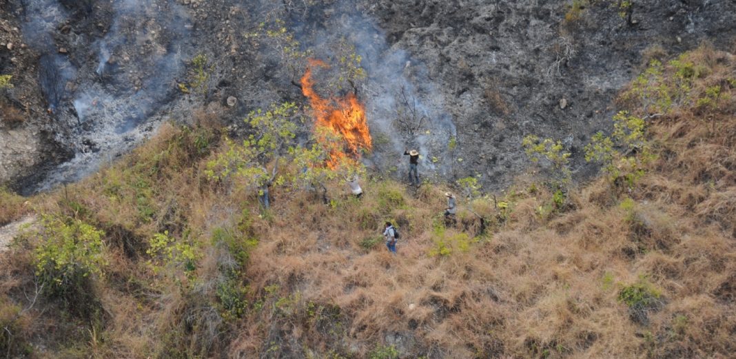 Malibu brush fire