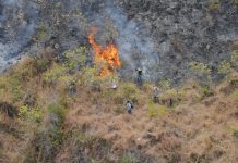 Malibu brush fire