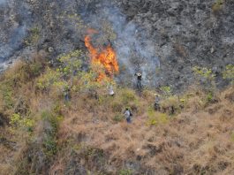 Malibu brush fire