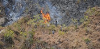 Malibu brush fire