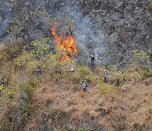 Malibu brush fire