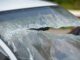 Broken windshield of crash vehicle