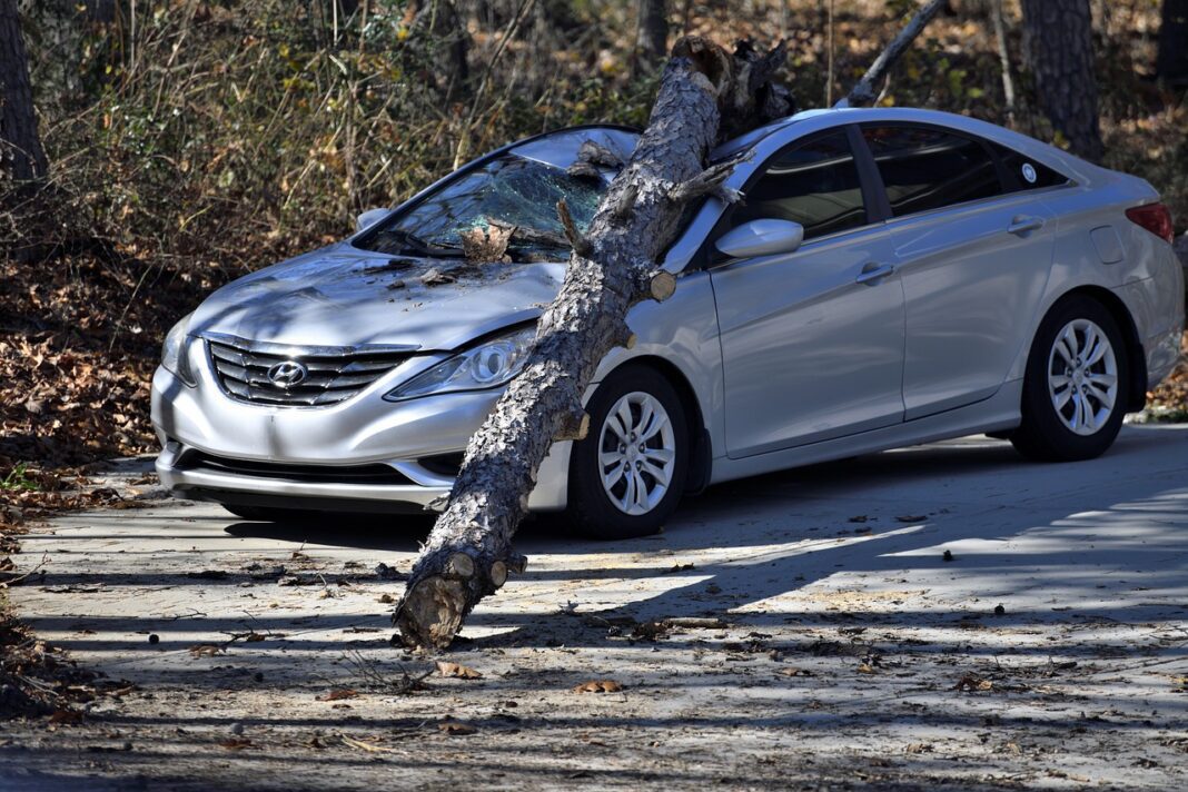 wrecked car depicted after crashing into tree