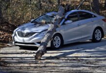 wrecked car depicted after crashing into tree