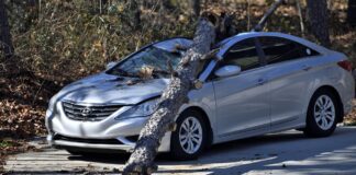 wrecked car depicted after crashing into tree