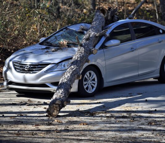 2 Dead in Downey After Car Slams into Tree wrecked car depicted after crashing into tree