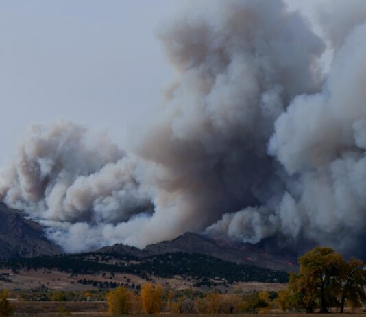 Woman Suffers Severe Burns During Rabbit Fire large wildfire smoke clouds depicted in the distance