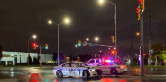 police car struck by vehicle