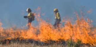 wildfire firefighters tackle large fire in rural area