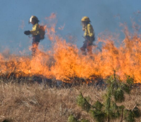 Law Firm Represents Family of Maui Fire Victim Buddy Jantoc wildfire firefighters tackle large fire in rural area