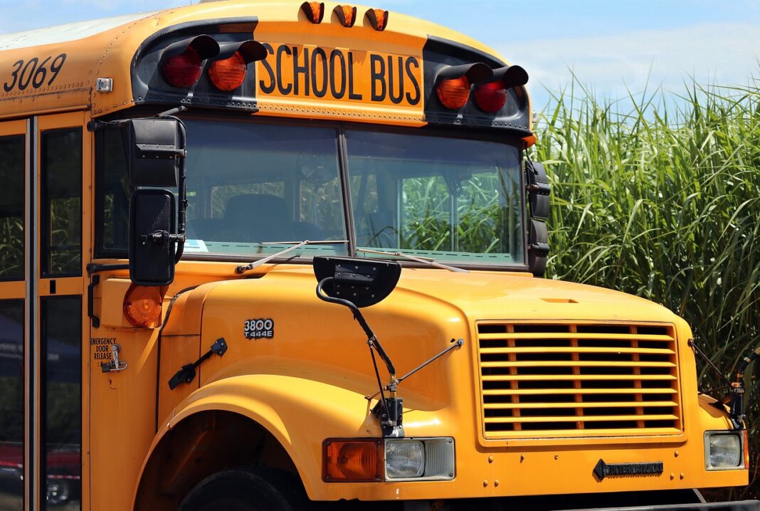 school bus depicted picking up children