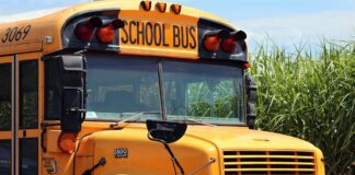 school bus depicted picking up children