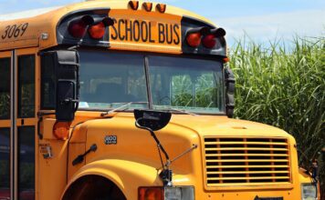 23 Hurt in School Bus Collision in Ohio, 1 Student Killed school bus depicted picking up children