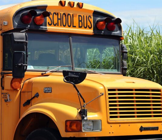 school bus depicted picking up children