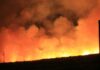 large wildfire and smoke depicted