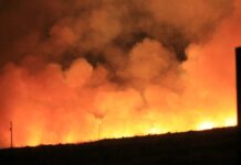 large wildfire and smoke depicted