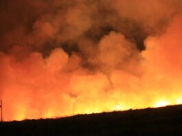 large wildfire and smoke depicted