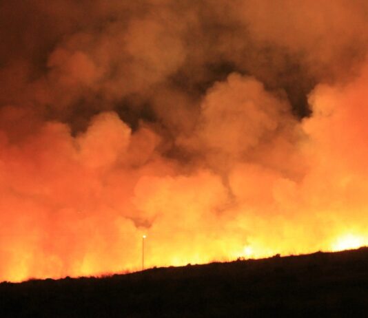 First California Tourist Identified as Victim of Maui Fires large wildfire and smoke depicted