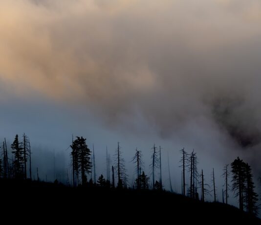 large cloud of smoke hangs in the air following wildfire