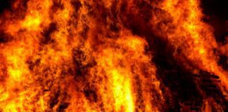 Apartment Fire in Fremont Claims the Life of Charlotte Holguin