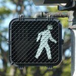 Tory Nabu Killed While Crossing Kahului Beach Road