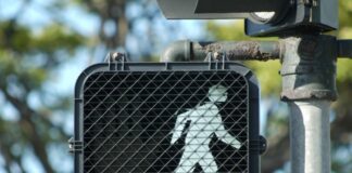 Emery Chalekian Fatally Struck in Encinitas Crosswalk Accident
