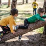 Falling Tree Branch Kills 8-Year-Old, Injures Others During Summer Camp Park Outing in Calabasas, CA