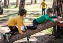 Falling Tree Branch Kills 8-Year-Old, Injures Others During Summer Camp Park Outing in Calabasas, CA