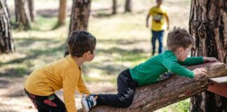 Falling Tree Branch Kills 8-Year-Old, Injures Others During Summer Camp Park Outing in Calabasas, CA