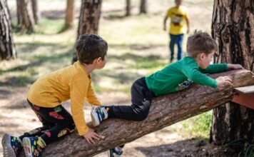 Falling Tree Branch Kills 8-Year-Old, Injures Others During Summer Camp Park Outing in Calabasas, CA Falling Tree Branch Kills 8-Year-Old, Injures Others During Summer Camp Park Outing in Calabasas, CA