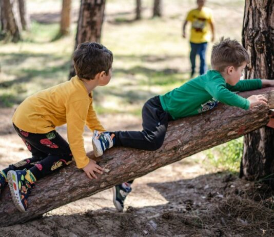 Falling Tree Branch Kills 8-Year-Old, Injures Others During Summer Camp Park Outing in Calabasas, CA