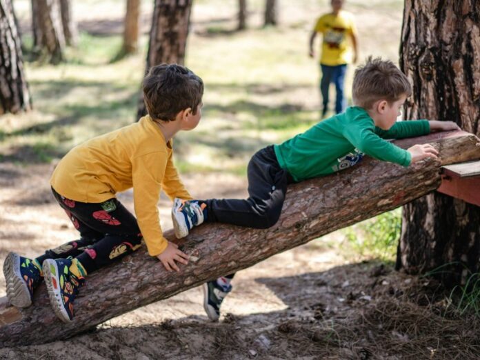 Falling Tree Branch Kills 8-Year-Old, Injures Others During Summer Camp Park Outing in Calabasas, CA